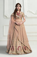 Aabroo Lehnga Choli